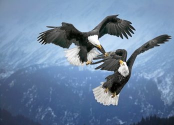 gara-2016-10-19-Reportaje