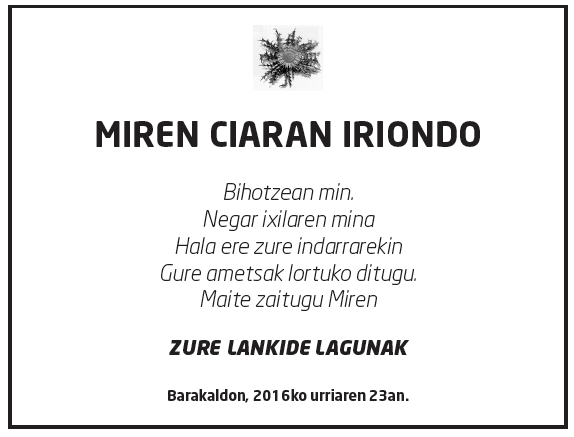 Miren_ciaran-iriondo-2