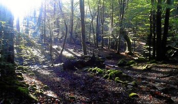 gara-2016-10-23-Noticia