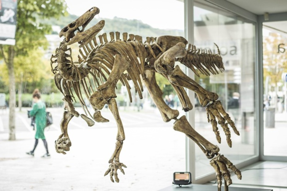 Este esqueleto parece suspendido en el aire.  (Aritz LOIOLA / ARGAZKI PRESS)