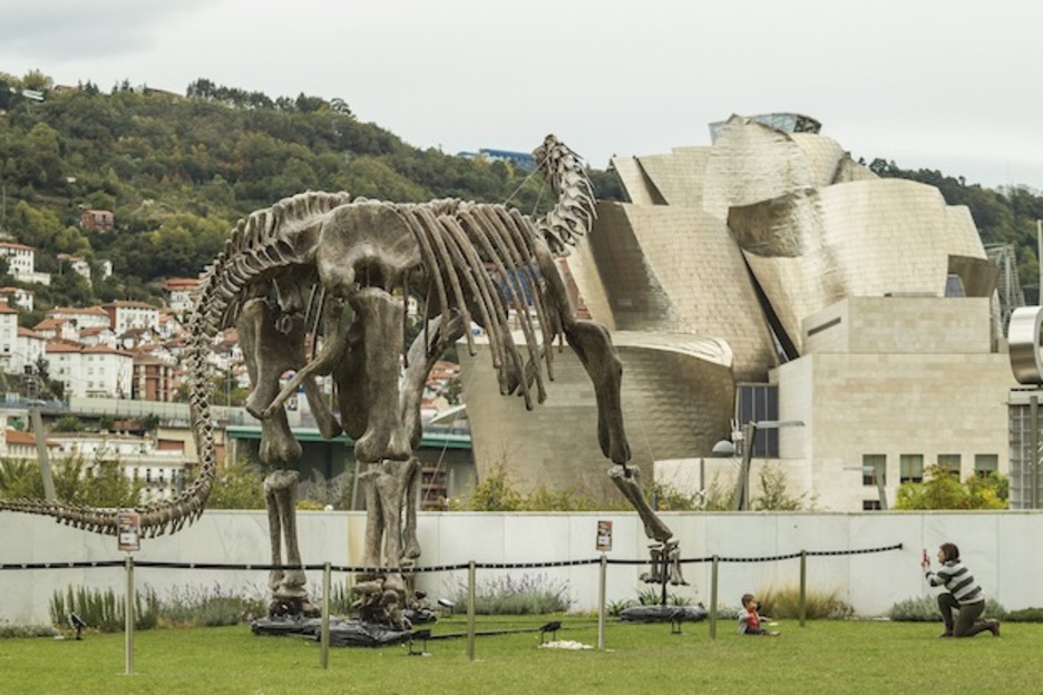 No todos los días puede uno fotografiarse junto a estos mastodontes.  (Aritz LOIOLA / ARGAZKI PRESS)