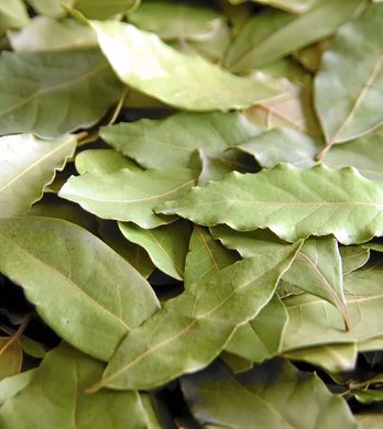 gara-2016-10-25-Noticia