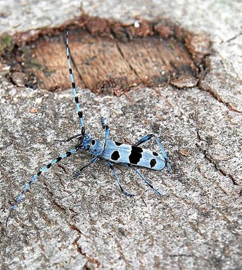 gara-2016-10-27-Reportaje