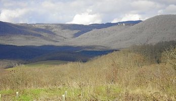 gara-2016-10-30-Noticia