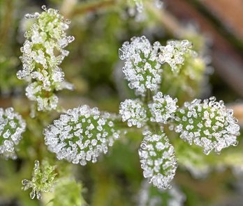 gara-2016-11-02-Noticia