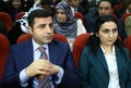 Demirtas-yuksekdag
