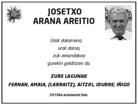 Josetxo-arana-areitio-2