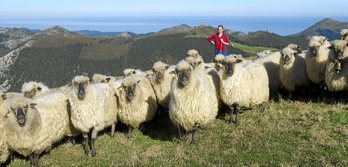 gara-2016-11-09-Reportaje