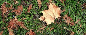 gara-2016-11-16-Noticia