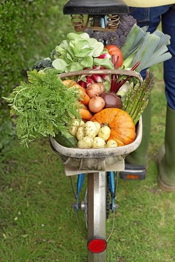 gara-2016-11-29-Noticia