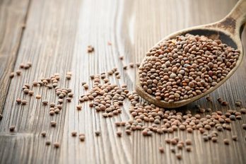 gara-2016-12-06-Noticia