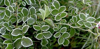 gara-2016-12-06-Noticia