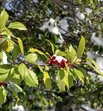 gara-2016-12-13-Noticia