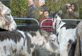 gara-2016-12-15-Noticia