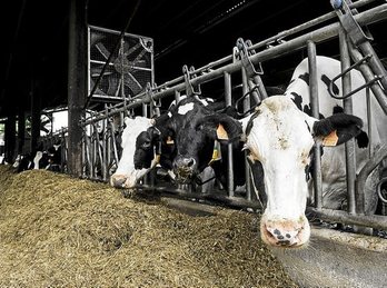 gara-2016-12-19-Noticia