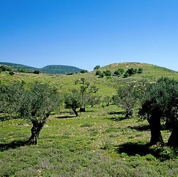 gara-2016-12-20-Noticia