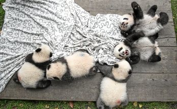 gara-2017-01-07-Reportaje