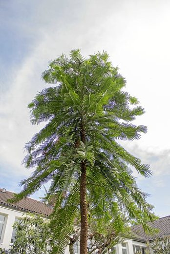 gara-2017-01-07-Noticia