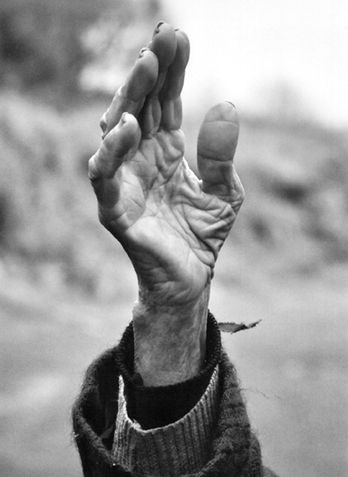 gara-2017-01-10-Noticia