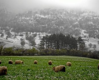 gara-2017-01-13-Reportaje