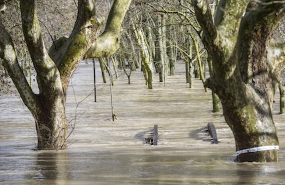 El Arga campa a sus anchas en las inmediaciones del puente de Curtidores. (Jagoba MANTEROLA/ARGAZKI PRESS)