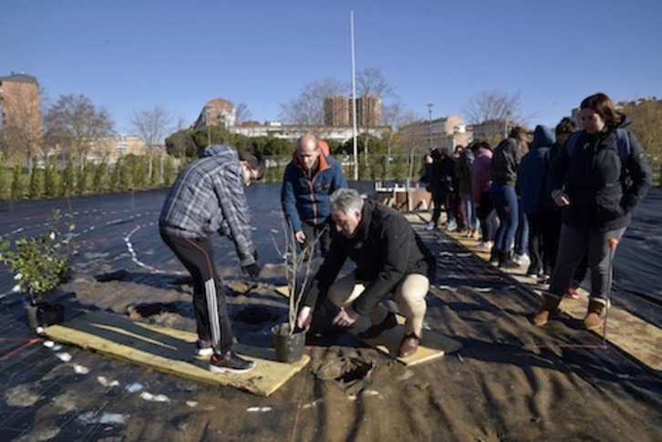 El alcalde Asiron ha participado en las primeras plantaciones en el Jardín de la Galaxia. (AYUNTAMIENTO DE IRUÑEA)