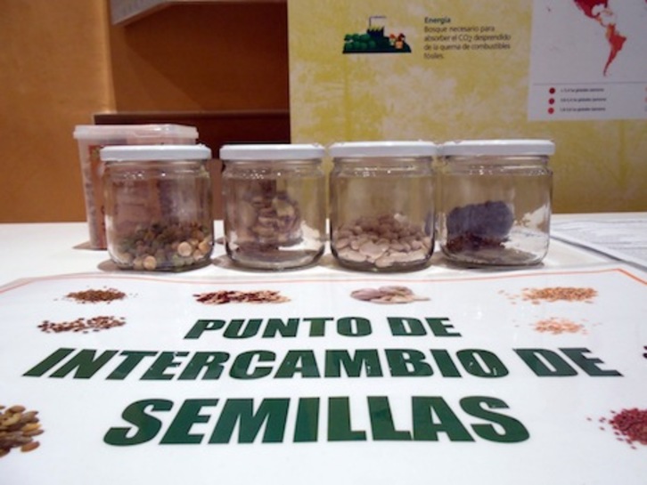 Semillas que se ofrecerán en el Museo de Educación Ambiental. (AYUNTAMIENTO DE IRUÑEA)