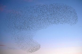 gara-2017-01-24-Reportaje