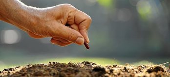 gara-2017-01-24-Noticia