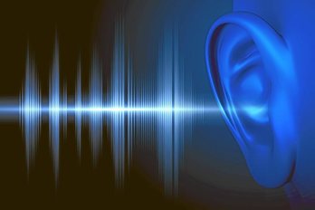 gara-2017-01-24-Noticia