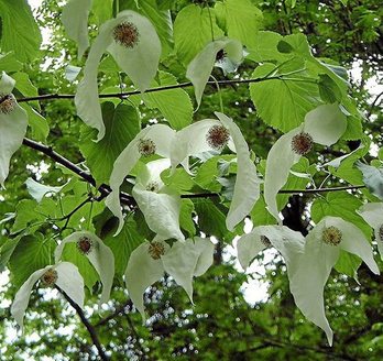 gara-2017-01-31-Noticia