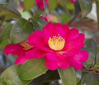 gara-2017-02-07-Noticia