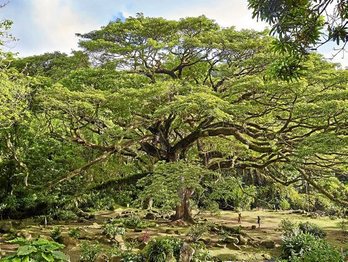 gara-2017-02-14-Reportaje