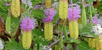 gara-2017-02-21-Noticia