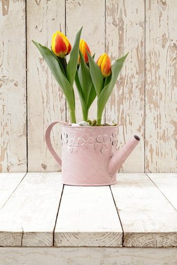 gara-2017-03-01-Noticia