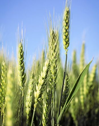 gara-2017-03-07-Noticia