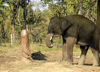 gara-2017-03-14-Noticia