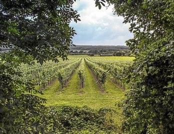 gara-2017-03-14-Reportaje