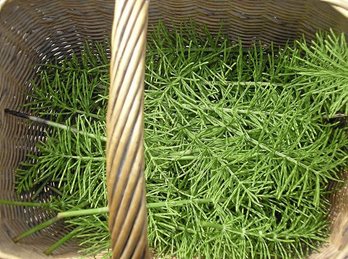 gara-2017-03-22-Noticia