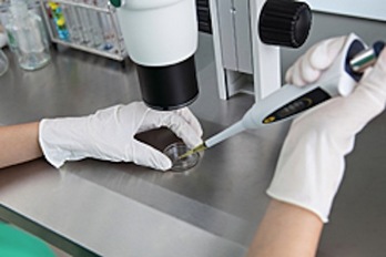 El Ejecutivo duplica las ayudas a proyectos de investigación. (GOBIERNO DE NAFARROA)