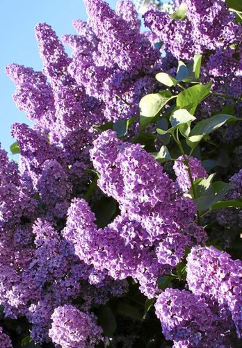 gara-2017-03-28-Noticia