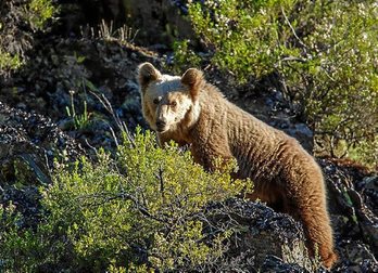 gara-2017-03-30-Noticia