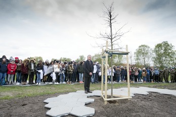 Urkullu, Auschwitzen landatutako Gernikako arbolaren kimuaren alboan. (IREKIA)