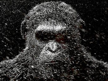 gara-2017-04-25-Noticia