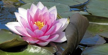 gara-2017-05-02-Noticia