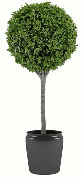 gara-2017-05-10-Noticia