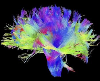 gara-2017-05-16-Noticia