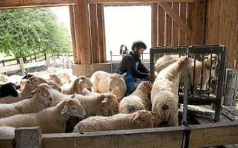 gara-2017-05-23-Reportaje