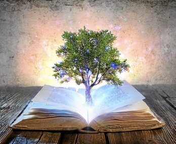 gara-2017-05-30-Noticia