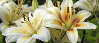 gara-2017-05-30-Noticia